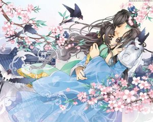 狼友视频不迷路最新版